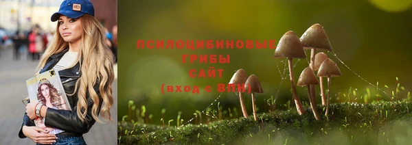 мдма Белокуриха