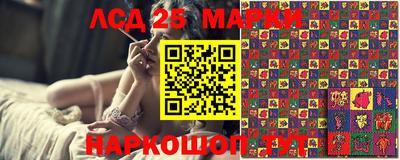 индика Заводоуковск