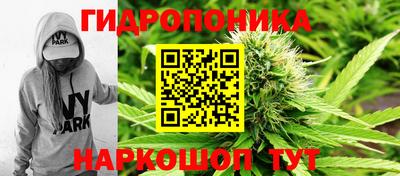 индика Заводоуковск