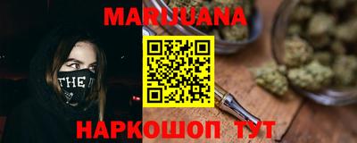 индика Заводоуковск