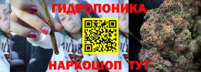 прущие крисы Жуковский