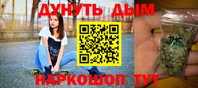 индика Заводоуковск