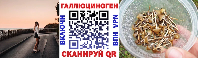 hydra ссылки  Минеральные Воды  маркетплейс наркотические препараты  наркота  Псилоцибиновые грибы мухоморы 